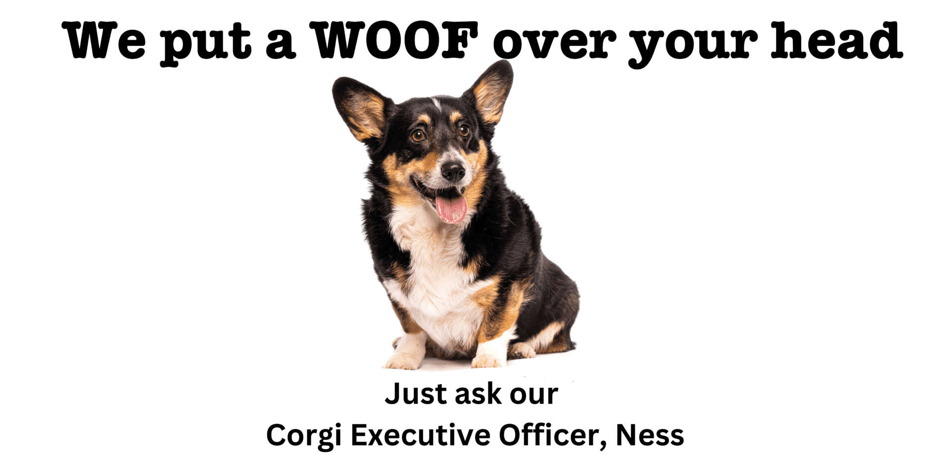 We Put a WOOF over your head (1)